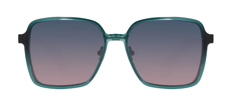Alta clip-on